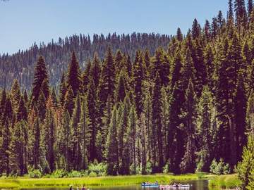 The Truckee River winding through the Sierra Nevada forest