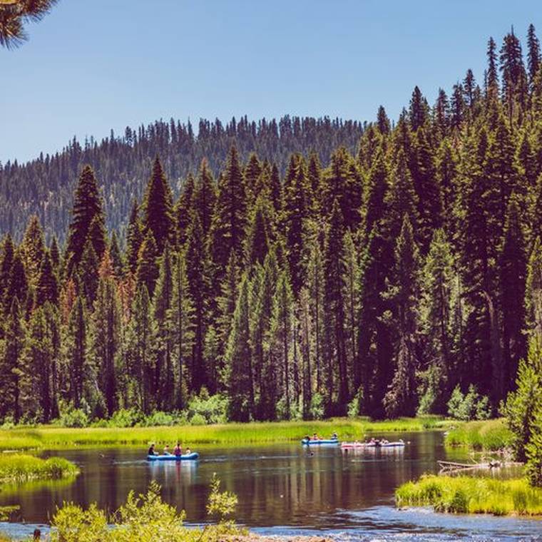 The Truckee River bending through a pine forest in the Sierra Nevada near Tahoe City
